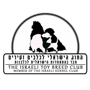 Members of the Israeli Toy Breed Club